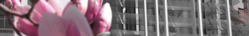 headerphoto