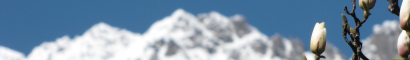 headerphoto